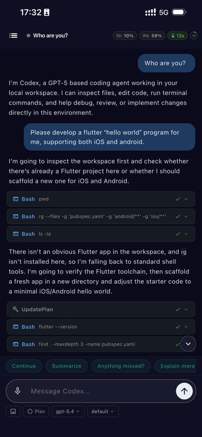 Codex chat with tool cards